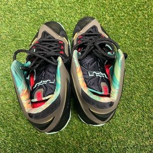 2013
LeBron 11 'King's Pride'